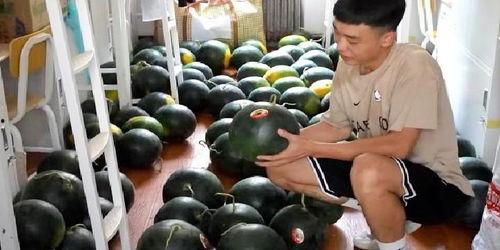 河职宿舍吃瓜,揭秘校园吃瓜背后的故事