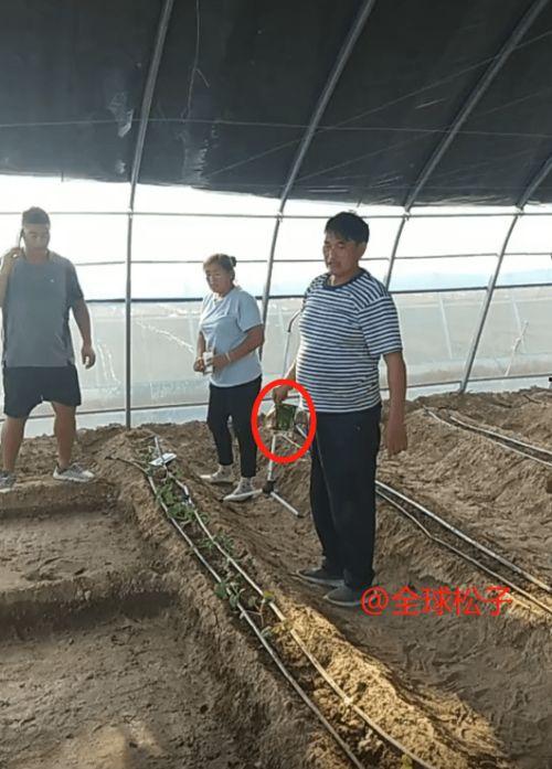 田斌与五步蛇吃瓜,一场惊心动魄的吃瓜奇遇