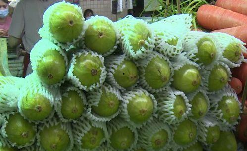 马吃葫芦瓜,田园生活趣事一瞥