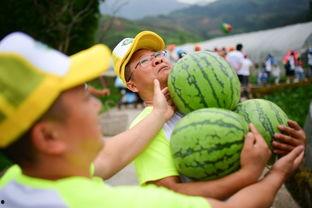 27楼吃瓜,揭秘网络热点的背后真相