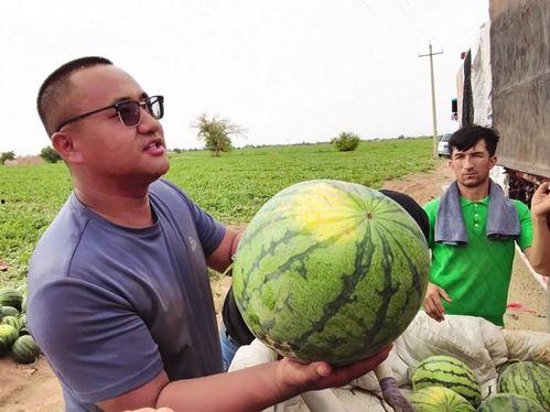 u2吃瓜,吃瓜群众眼中的音乐传奇