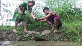 梦见到瓜地里摘瓜吃,摘瓜品尝的奇幻之旅