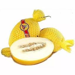 周岁吃蜜瓜,蜜瓜美食之旅