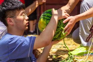 吃瓜捕娱,揭秘娱乐圈幕后故事