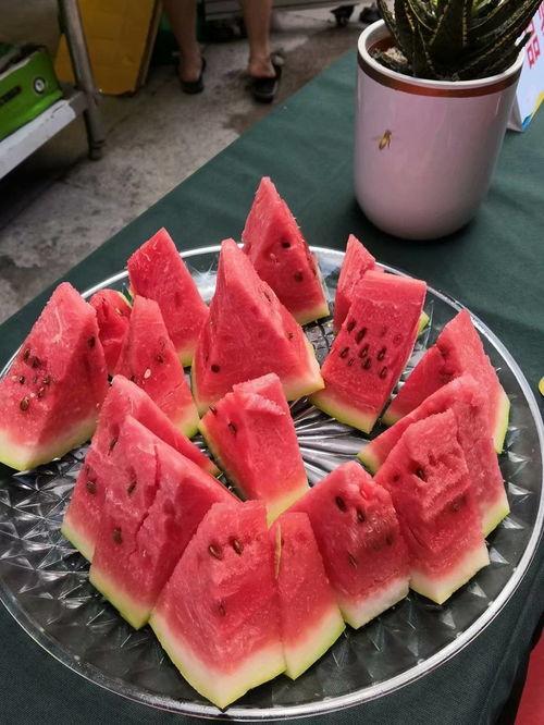 臭粑粑吃瓜大赛,一场别开生面的趣味盛宴