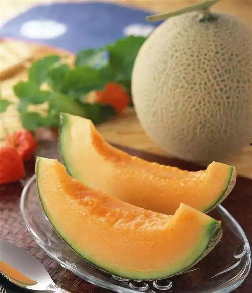 艾米吃哈密瓜,一场甜蜜的邂逅