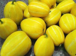 吃樱桃可以吃哈密瓜,樱桃与哈密瓜的奇妙搭配之旅