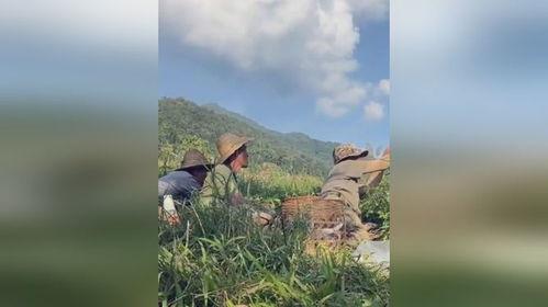 缅甸打仗现场吃瓜