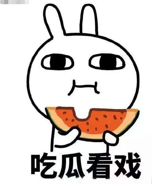 鹅妈妈吃瓜,揭秘娱乐圈的甜蜜与苦涩