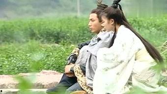 吃瓜小高小说,揭秘娱乐圈背后的秘密与真相