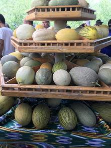 有瓜吃新疆瓜很甜,揭秘“有瓜吃”的甜蜜奥秘