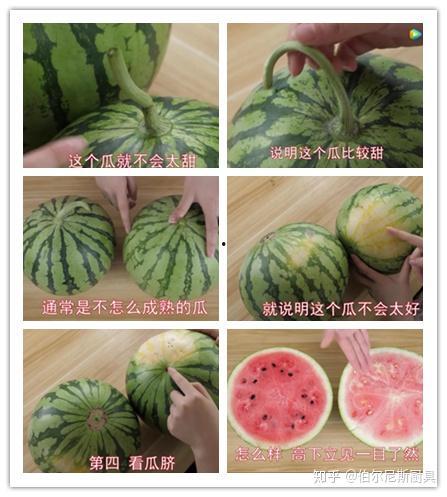 美丽的吃瓜人,美丽人生中的吃瓜时光