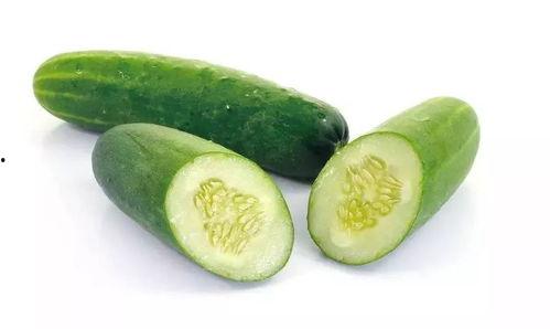 仅吃养生瓜,绿色健康生活的天然选择