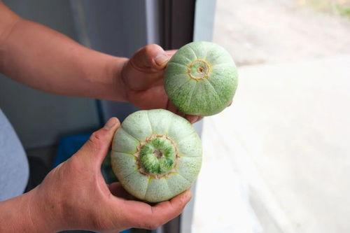 外圈瓜吃,探索美味与营养的完美结合