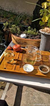 喝茶晒太阳吃瓜,茶香日暖瓜趣生