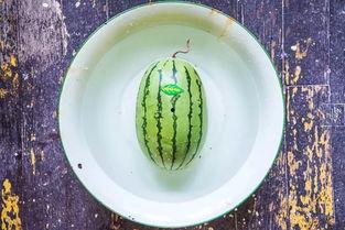 什么瓜可以做屎瓜吃,揭秘“屎瓜”的独特风味