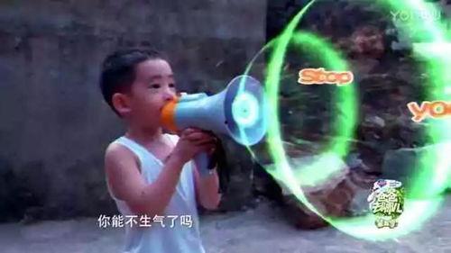 惊喜吃瓜,一场味蕾与惊喜的邂逅