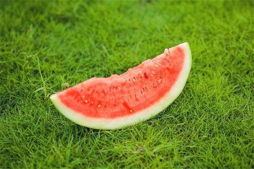 吃瓜之后嘴麻,揭秘瓜果中的神秘成分