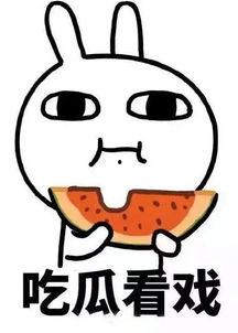 吃瓜礼嘉,揭秘美食背后的故事与魅力