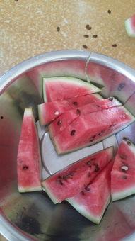 吃瓜不吃按头硬吃,从“吃瓜不吃”到“按头硬吃”的美食冒险之旅