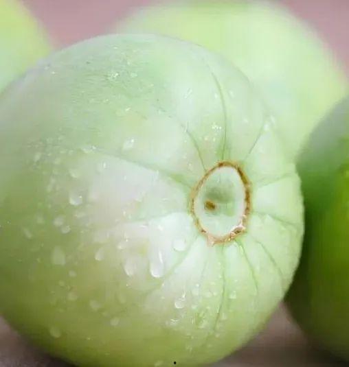 蓝线吃瓜,揭秘网络热点的背后真相