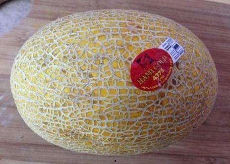 勺吃酸奶哈密瓜,酸奶哈密瓜的完美邂逅