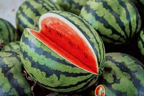 吃瓜盟主最新切片,热点事件背后的真相与笑料