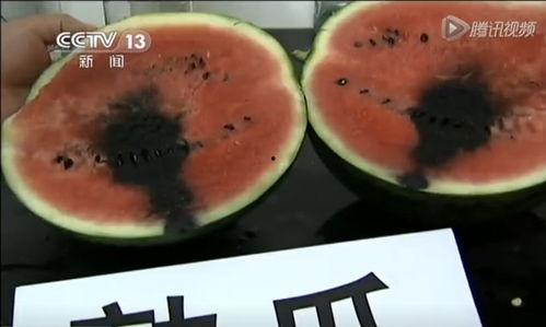 低调奢华吃瓜视频,揭秘吃瓜界的神秘面纱