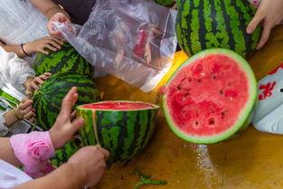 德国视频吃瓜,一场别开生面的视频吃瓜盛宴