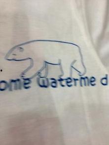 小熊吃瓜白色,探寻白色瓜果的甜蜜奥秘