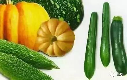 吃瓜孑语言特色,揭秘娱乐圈那些事儿