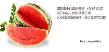 吃惯瓜中心,揭秘吃惯瓜中心的独特魅力