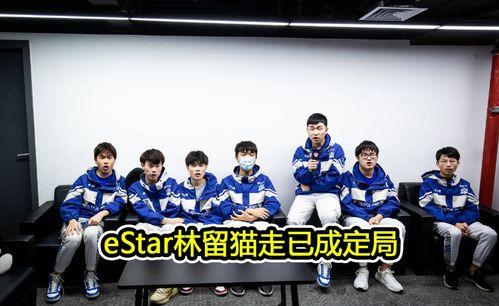 吃瓜ag和dyg,电竞风云中的双雄对决