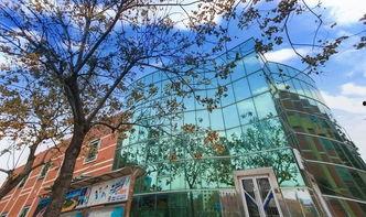 外事北校区吃瓜,校园风云录