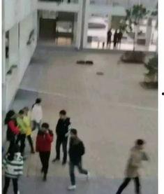 南阳吃瓜事件视频,一场网络热议背后的真相揭秘