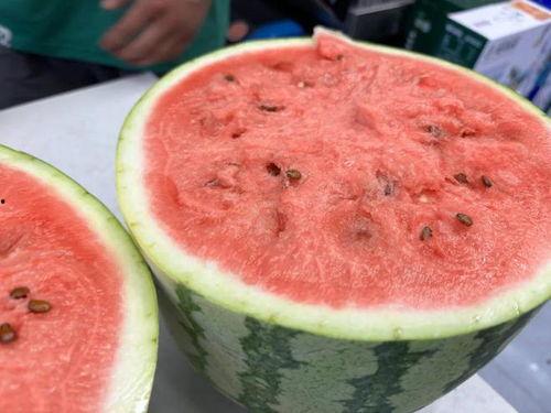 自由 吃瓜,畅享生活乐趣