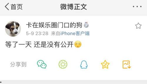 外网吃瓜爆料在线观看,外网吃瓜爆料在线观看全解析