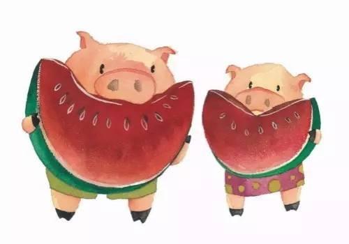 猪吃瓜的搞笑,猪吃瓜的欢乐日常