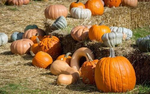 lol国宴群众吃瓜,群众吃瓜，欢声笑语共庆电竞盛宴