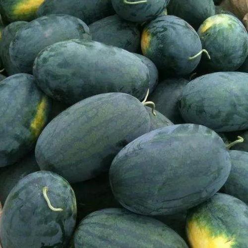 京瓜怎么吃最好