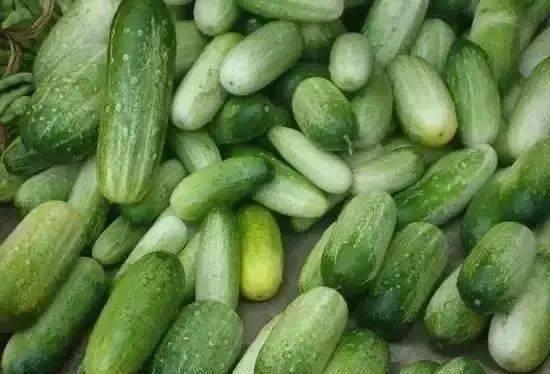 云南傈僳族吃瓜,瓜果飘香中的民族饮食文化