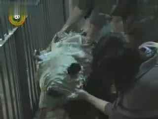 趣味吃瓜视频合集