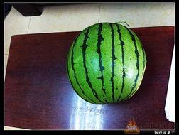 9一吃瓜,揭秘娱乐圈那些不为人知的幕后故事 第3张 9一吃瓜,揭秘娱乐圈那些不为人知的幕后故事 第3张